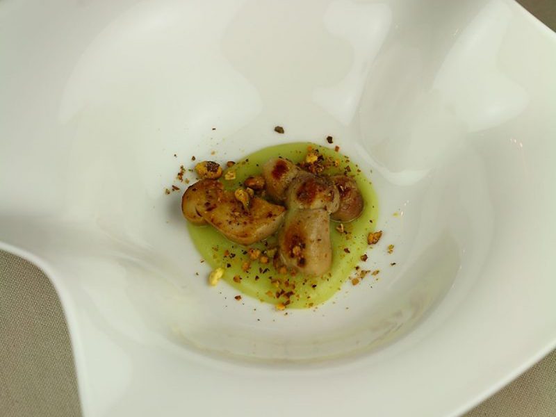 Il fungo porcino alla piota