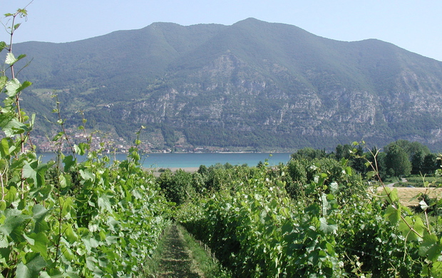 Azzurro Franciacorta