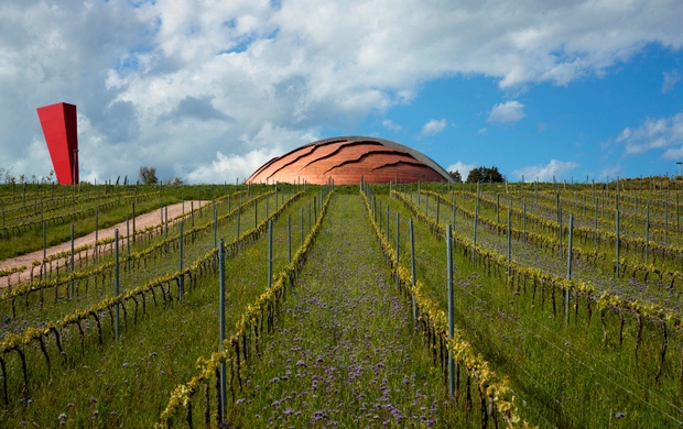 Il Carapace alla Triennale