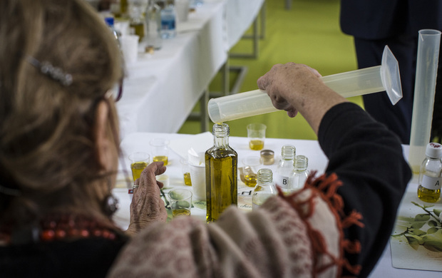 Al via la VI edizione di Olio Officina Festival