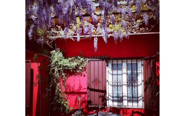 Trattoria Bertamè: gioventù e passione in sala e cucina
