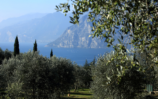 WardaGarda: il Festival dell’Olio