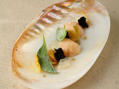 Capasanta con salsa all’ostrica