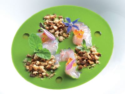 Insalata liquida di scarola, stracciatella di bufala, crudo di scampi, trucioli di pane e acciughe