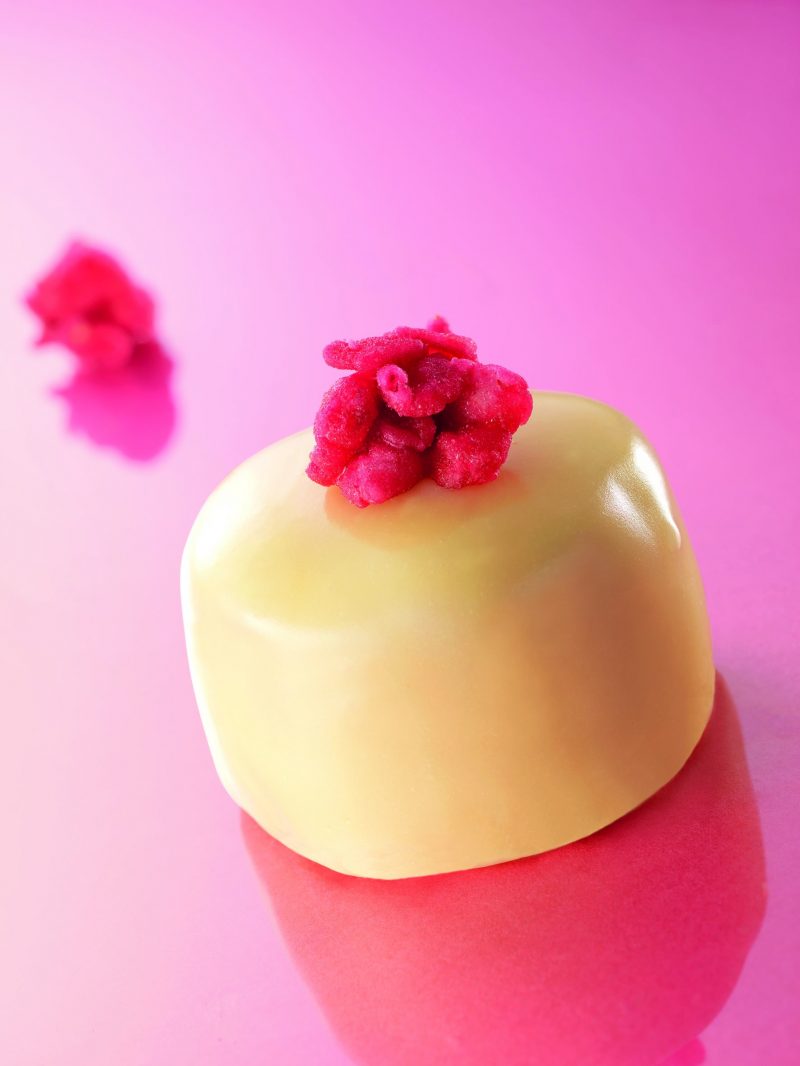 Mini Sacher bianca