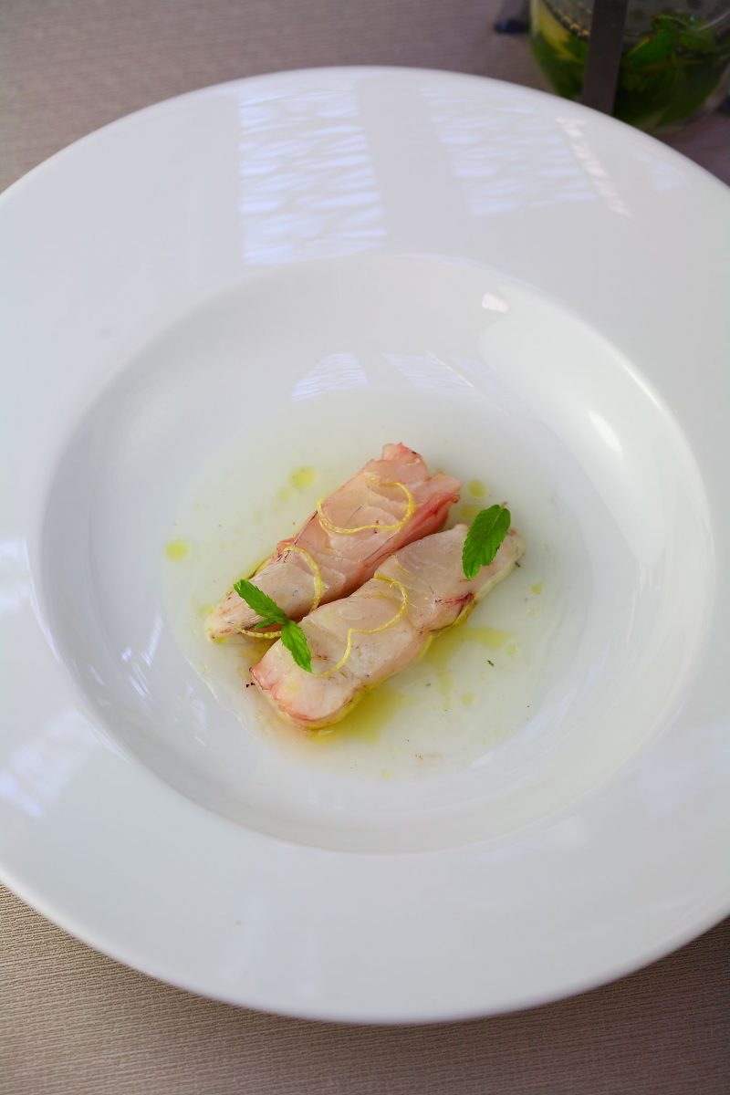 Ombrina temperata in zuppa fredda