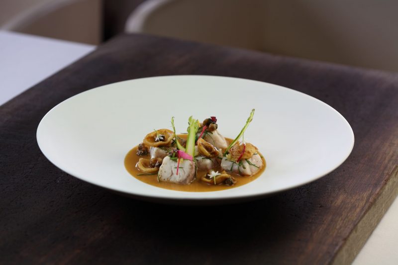 orata con orecchiette e crema di cicale di mare