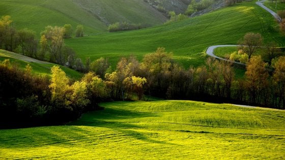 Doppio appuntamento, emiliano e toscano, per il Rural Festival a settembre