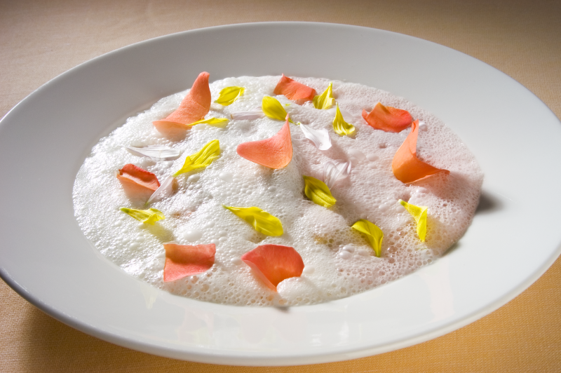 Sotto una coltre colorata, sottobosco con funghi porcini, zucchine, fiori di zucca, frittella di ceci e pesto alle erbe