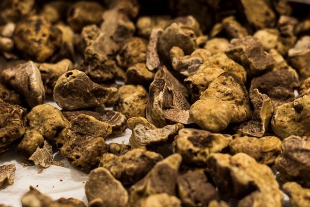 Irresistibile tartufo