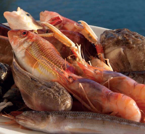 Calendario del pesce di stagione nei mari italiani