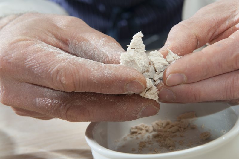 I tipi di lievito per la panificazione: pasta madre e non solo…