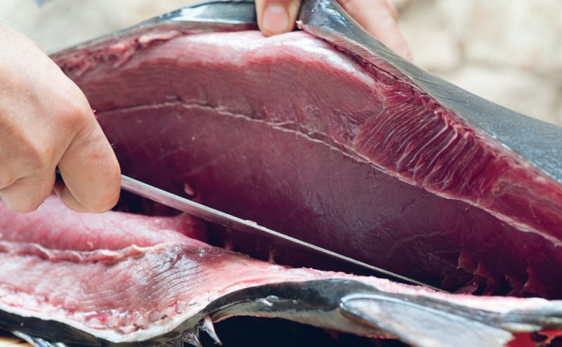 Come si taglia il tonno? Consigli di Luigi Pomata