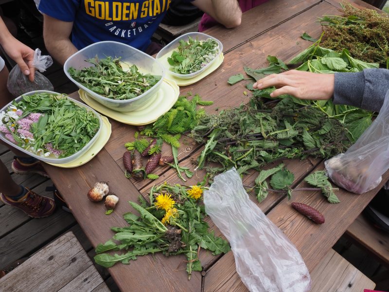 Cucina antispreco e valorizzazione delle verdure per le scuole