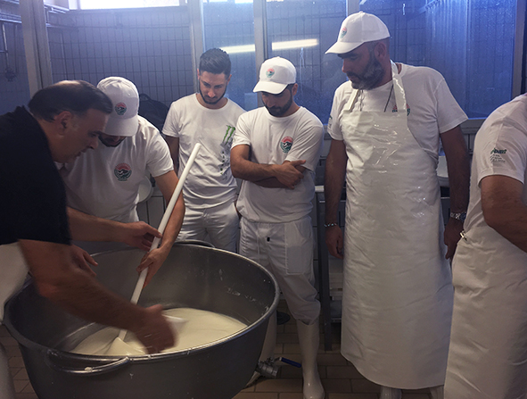 A scuola di mozzarella dop