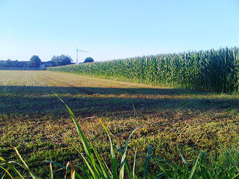La Fondazione Ferrazzi Cova per la formazione agricola