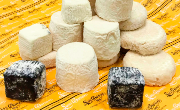 Formaggi di capra: tutto quello che c’è da sapere