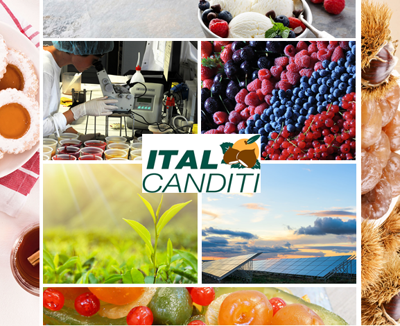 La maggioranza di Prodotti Rubicone a Italcanditi