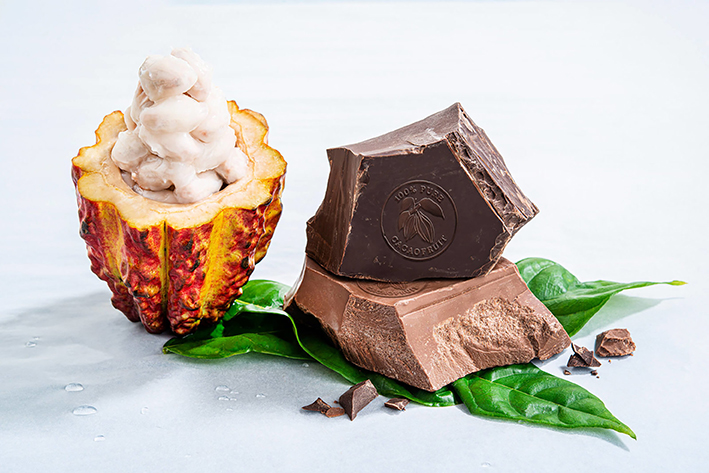 Wholefruit Chocolate: 100% cacao puro