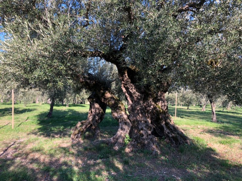 Umbria, c’è dell’altro oltre a cultura e religione