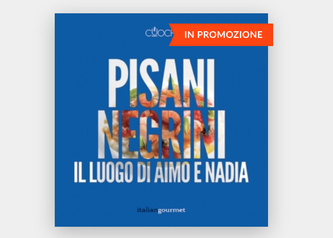 Pisani e Negrini. Il luogo di Aimo e Nadia