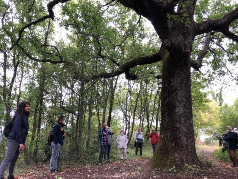 eatPRATO Walking: un’edizione speciale dal 19 settembre al 31 ottobre