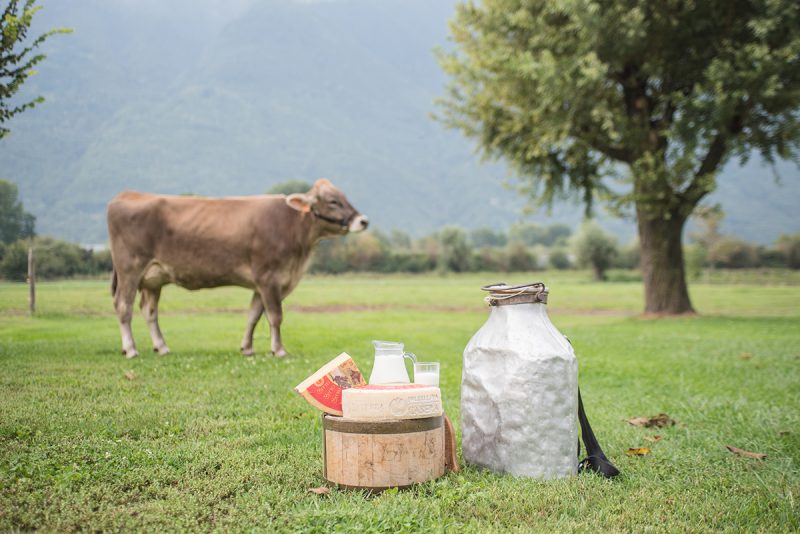 Dal Bitto al Monte Veronese, 5 formaggi di montagna da scoprire nell’estate 2021