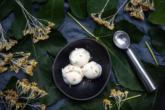 Mare - Gelato a foglie di fico, Lentisco ed Elicriso