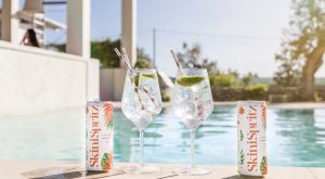 SkiniSpritz alcolici estate 2021