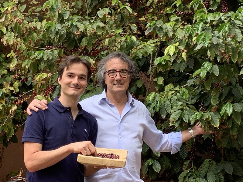 La Sicilia terra di caffè. Morettino presenta il progetto sperimentale del caffè nativo dell’Isola