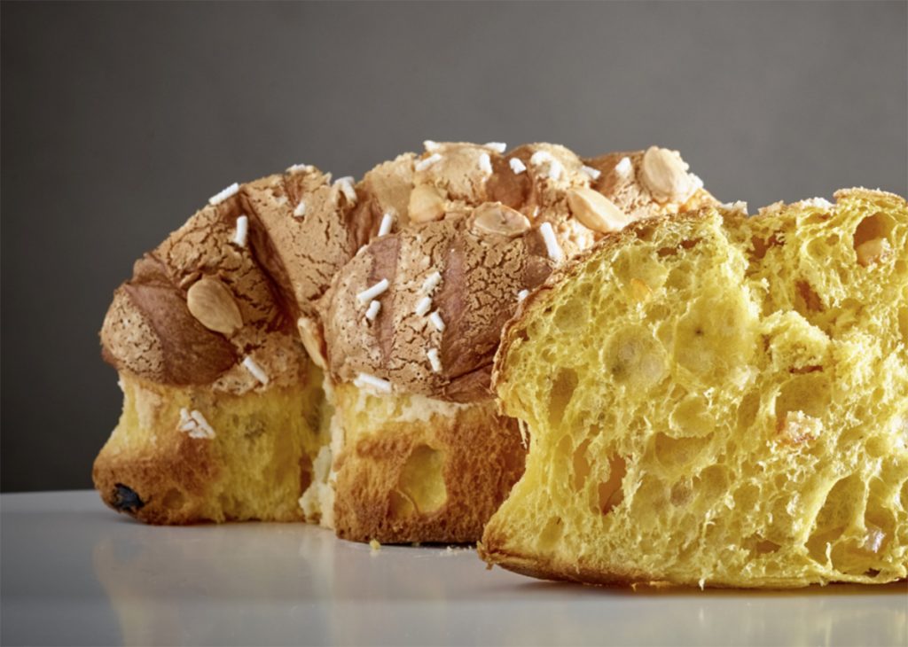 Colomba Aqua Crua