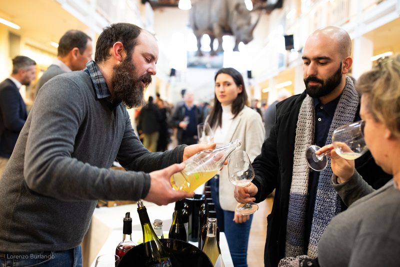 Vignaioli di Montagna. A Milano vini e cinema dal Trentino Alto Adige