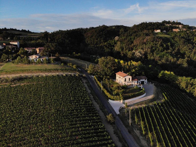 I Colli Tortonesi, non solo bianchi. Racconti di vino su Italian Gourmet