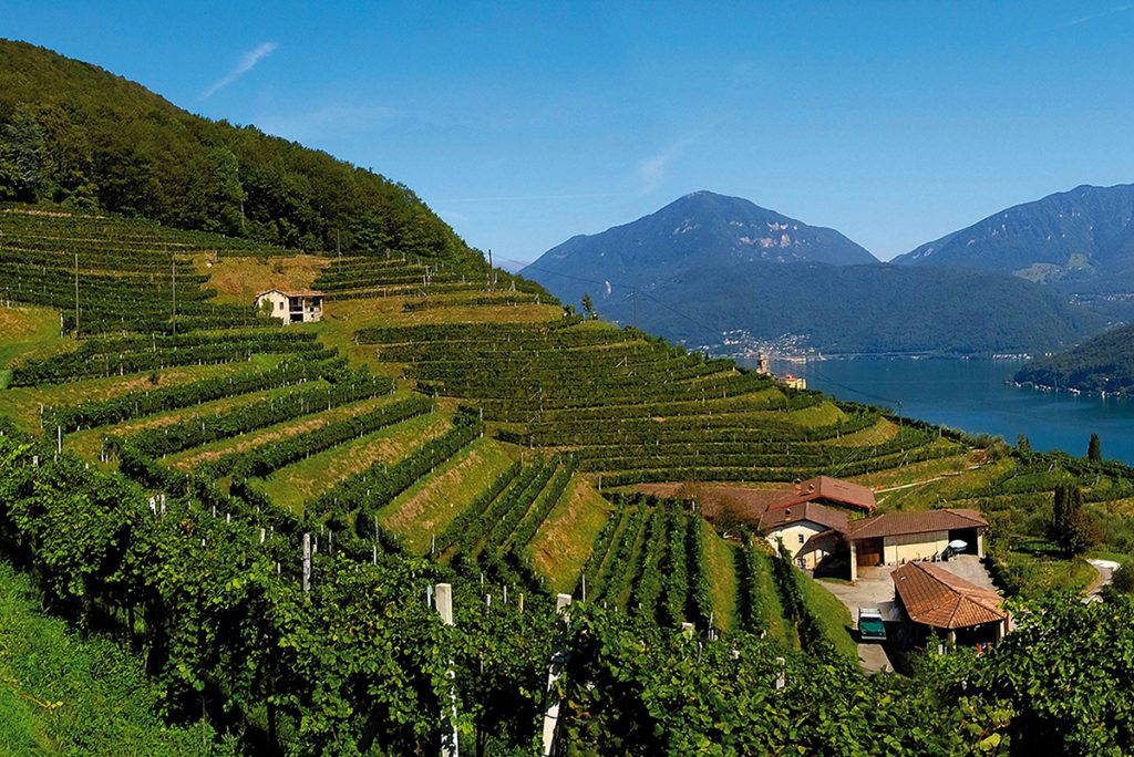 Ticino Gourmet Tour