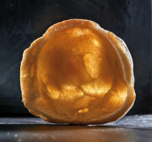 Il Pane in 101 domande e ricette