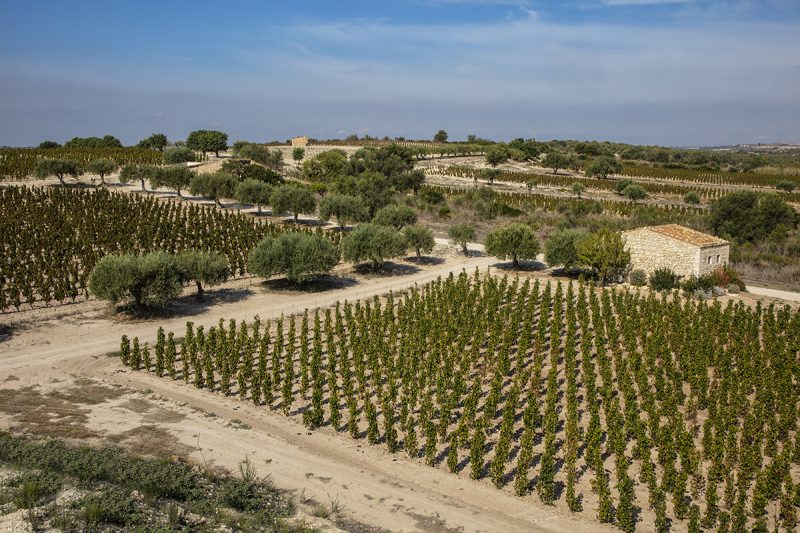 La Val di Noto, estremo sud est. Racconti di vino su Italian Gourmet