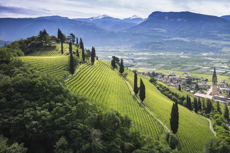 Alto Adige: una regione, infiniti territori. Racconti di vino su Italian Gourmet