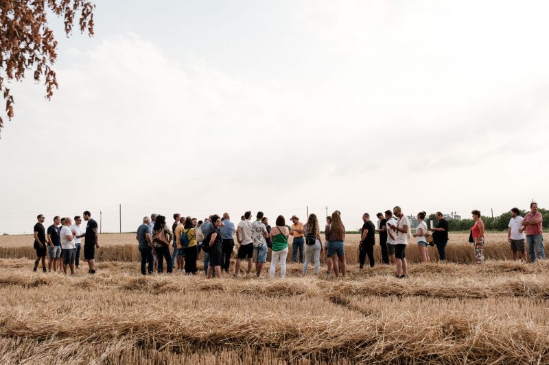 La Festa del Grano di Molini Bongiovanni