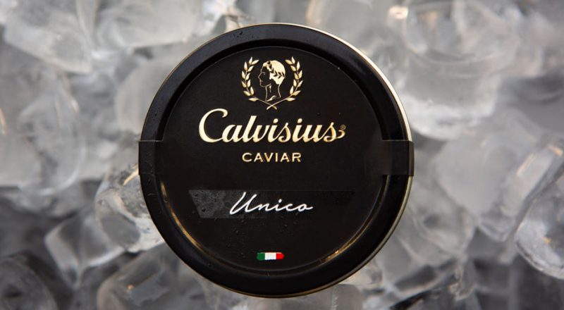 Calvisius Unico caviale