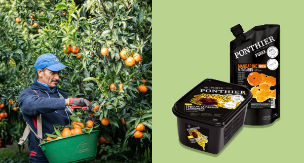 Come difendere la frutta gustosa, sana e responsabile