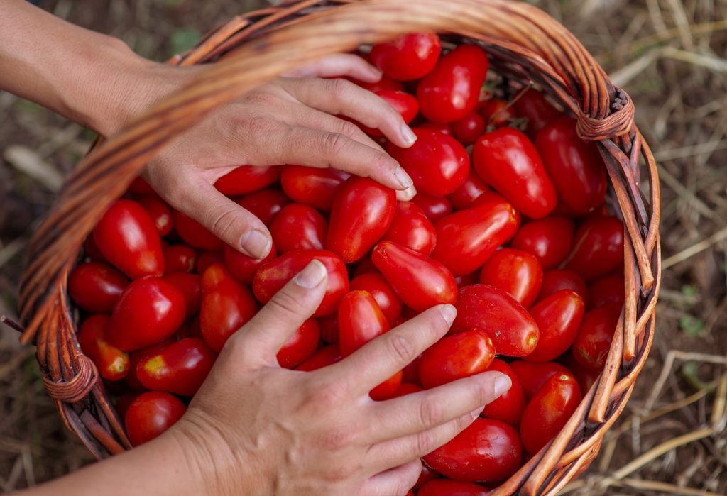 Pomodoro PomoDama