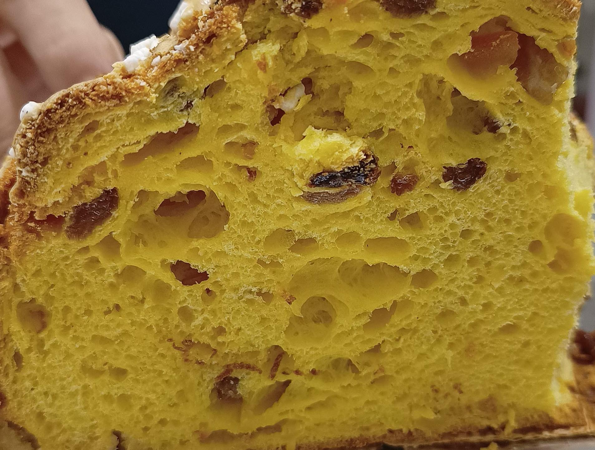 Miglior Panettone Senza Glutine: vince Stefano Pezzottini