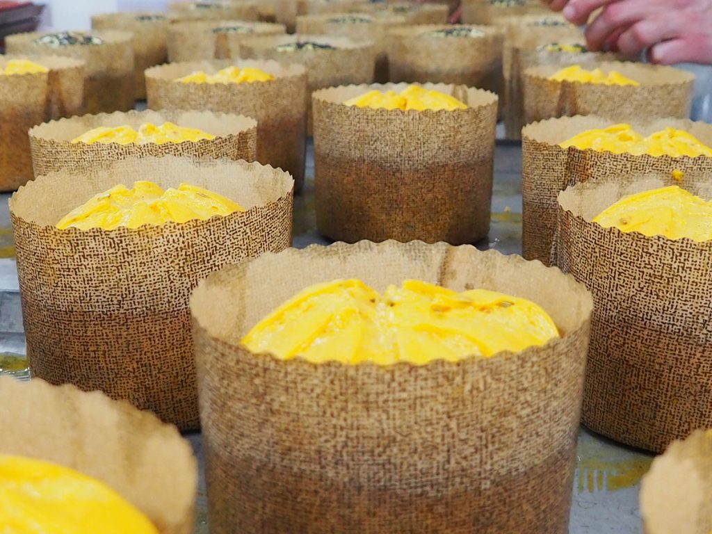 panettone salato