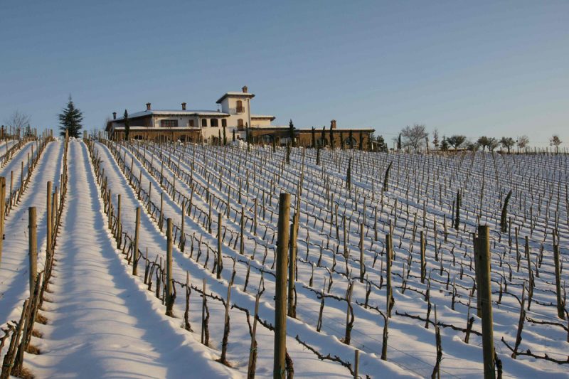 Due Eccellenze campane. Racconti di vino su Italian Gourmet