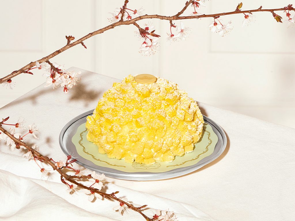 Torta Mimosa Marchesi