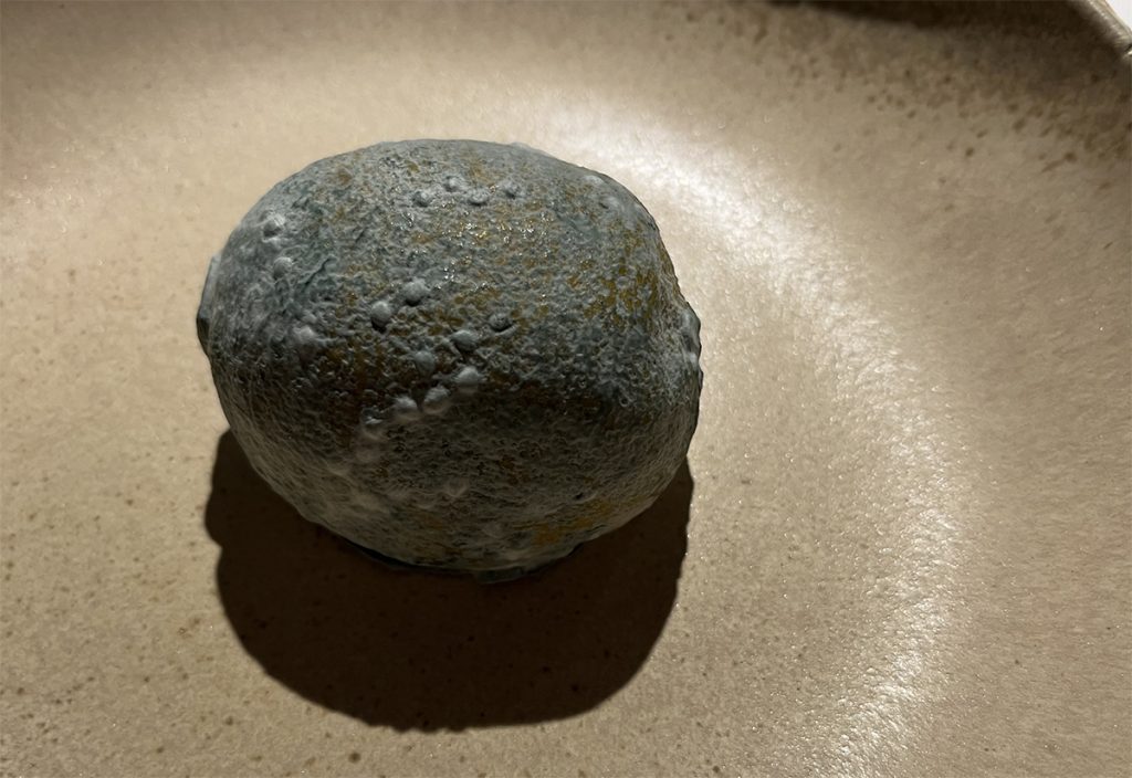Nin ristorante menu