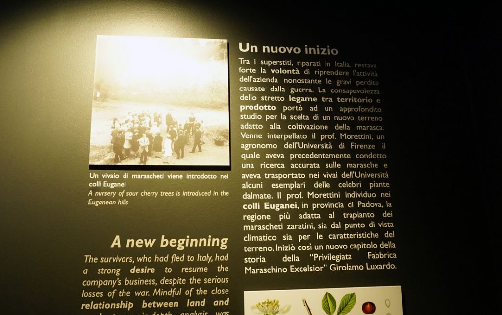 Museo Luxardo pannello storico