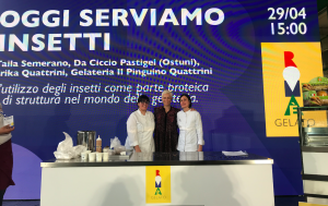 roma-gelato-insetti