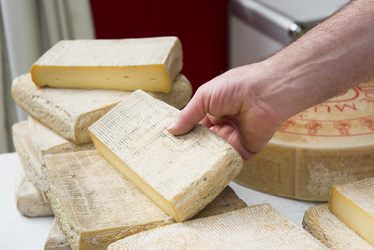 Cheese 2023 dal 15 al 18 settembre a Bra