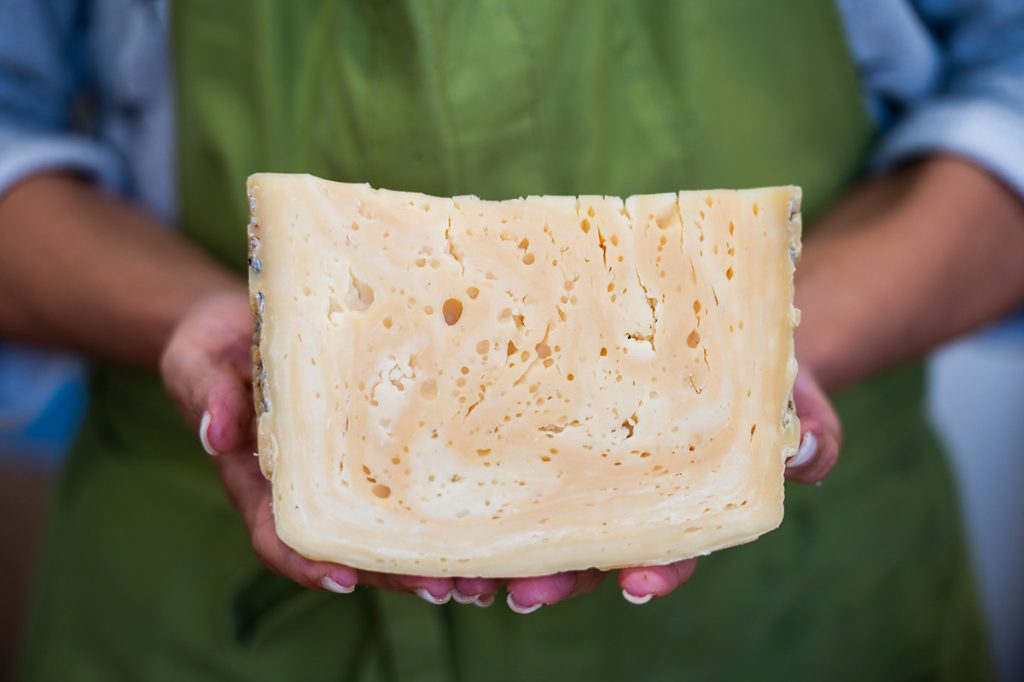 Cheese 2023